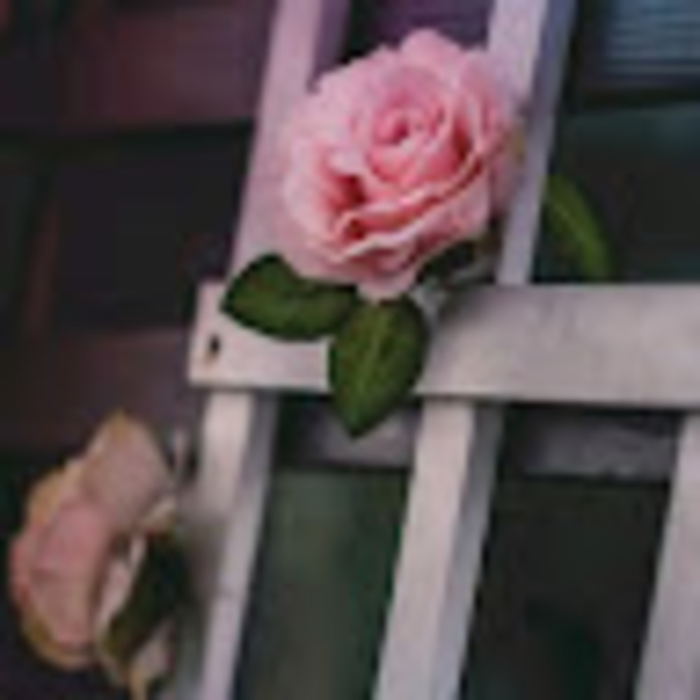 Meet your Posher, Lorena